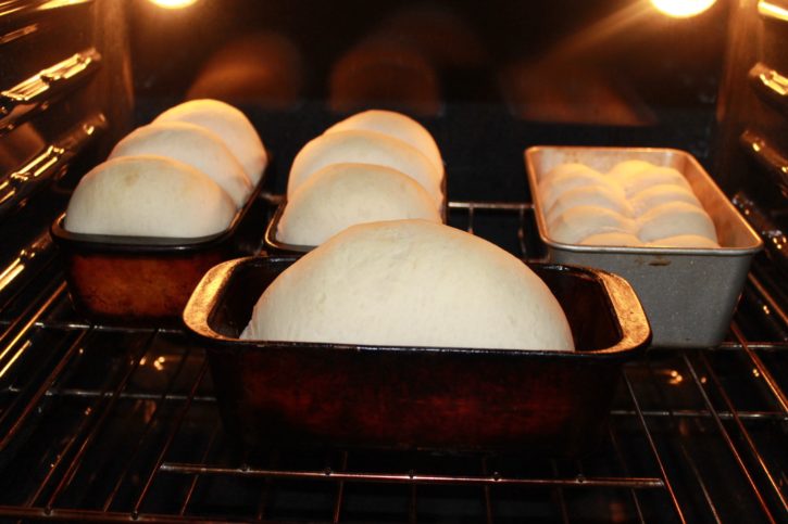 Newfoundland White Bread - Bonita's Kitchen