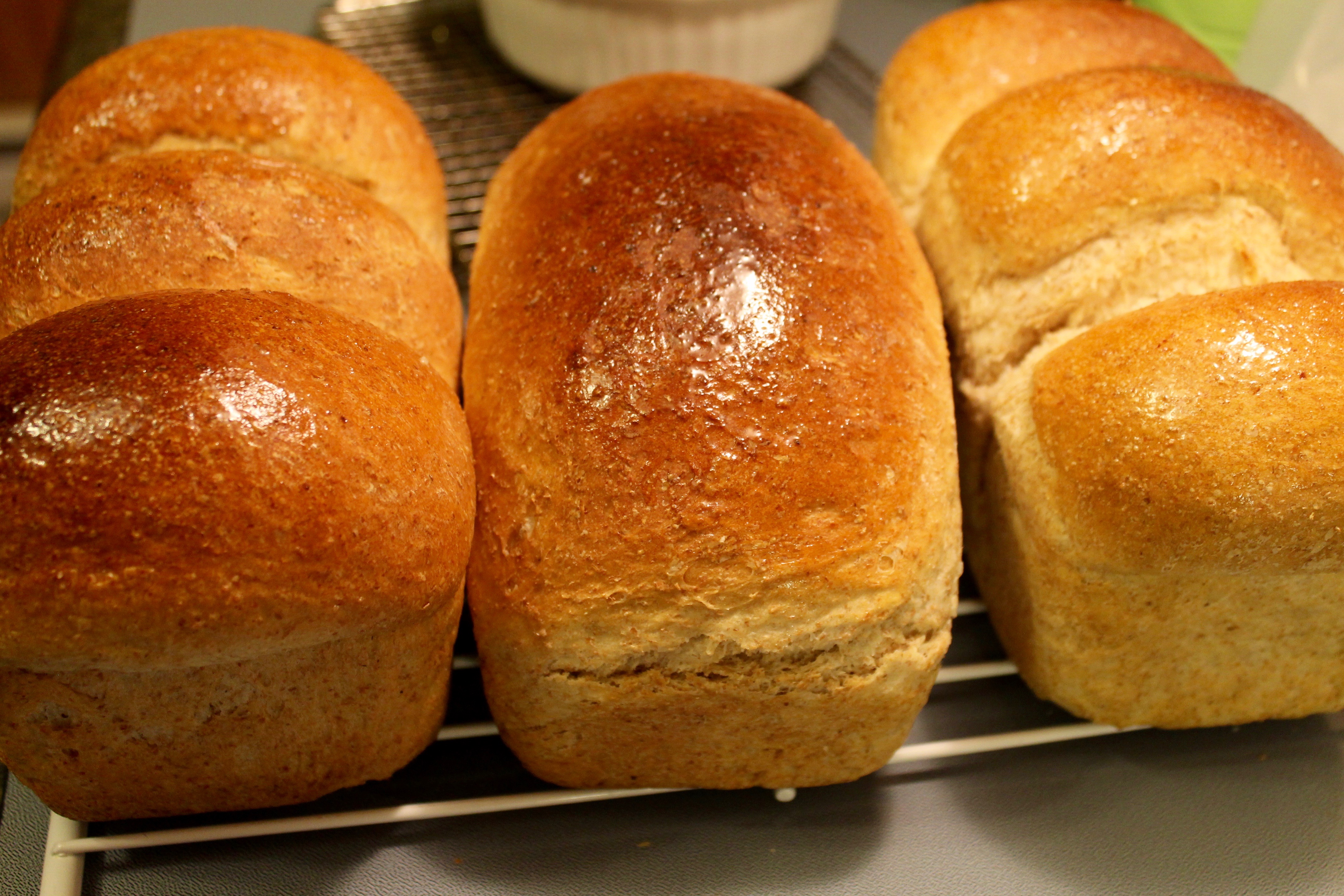 Homemade Whole Wheat Bread Bonita s Kitchen