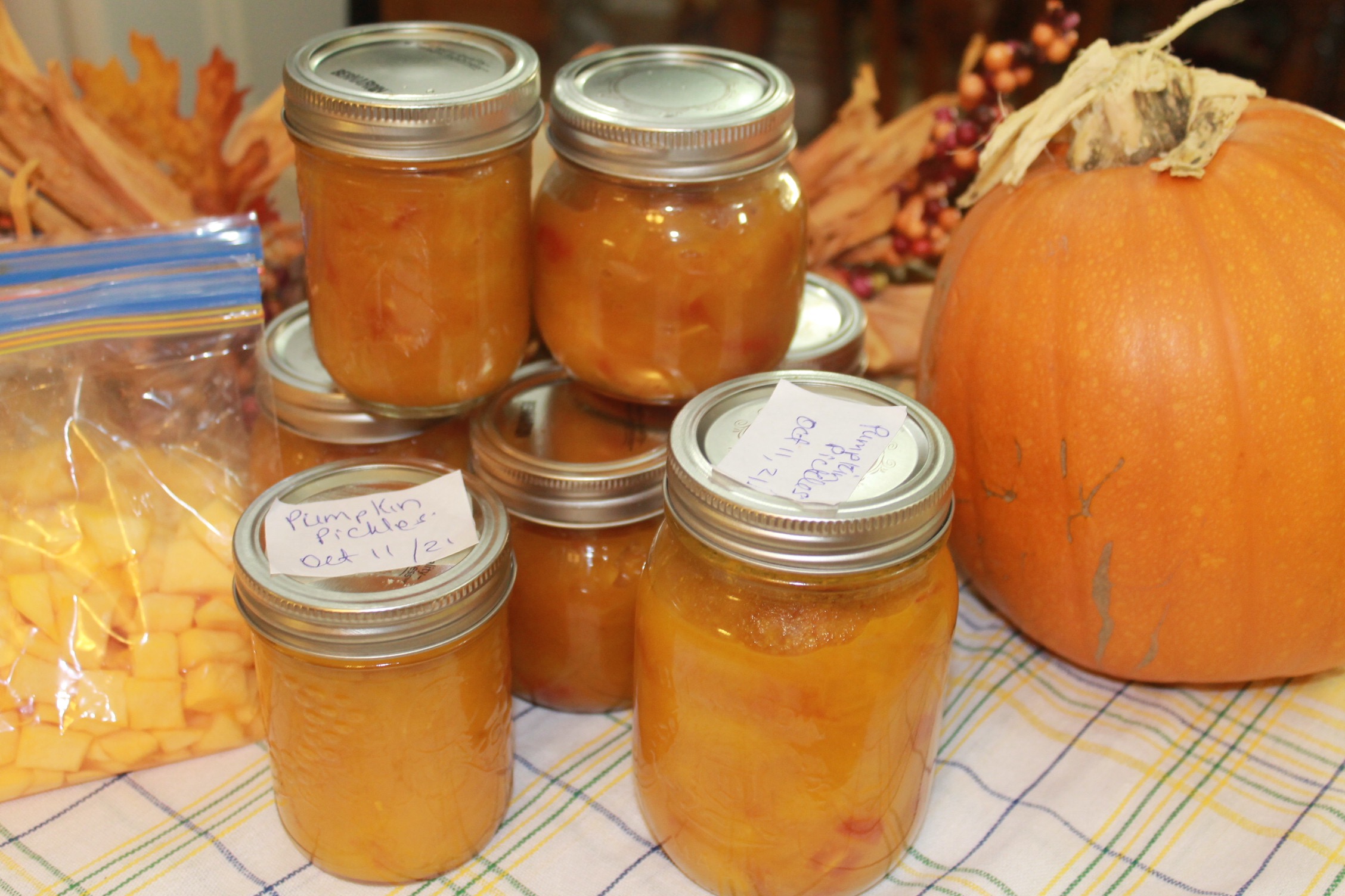 PUMPKIN PICKLES Bonita's Kitchen