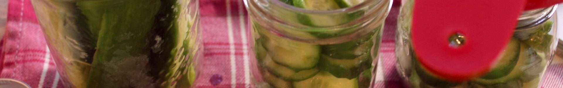 Dill Pickles Bonitas Kitchen 