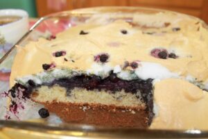 Blueberry Squares