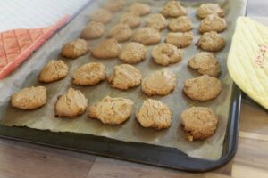 Spiced Peanut Butter Cookies - Gluten Free