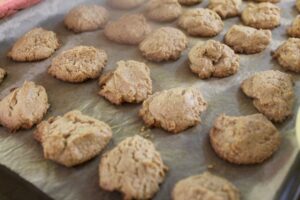 Spiced Peanut Butter Cookies - Gluten Free