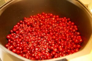 Homemade Partridgeberry Jam