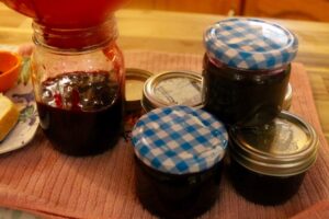 Homemade Partridgeberry Jam