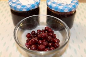 Partridgeberry Meringue Dessert